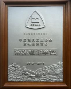 中国模协常务理事